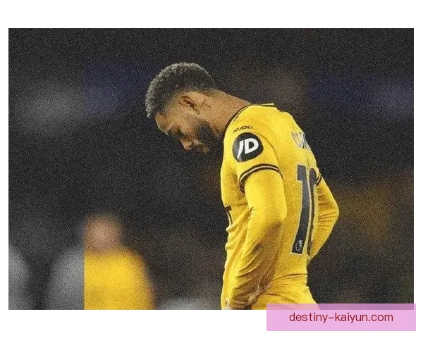 南安普顿2023赛季表现分析与前景展望